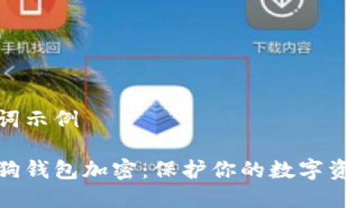 和关键词示例

如何给狗钱包加密：保护你的数字资产安全