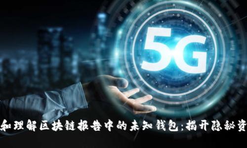 如何发掘和理解区块链报告中的未知钱包：揭开隐秘资产的面纱