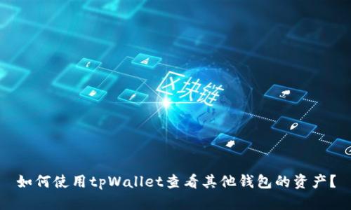 如何使用tpWallet查看其他钱包的资产？