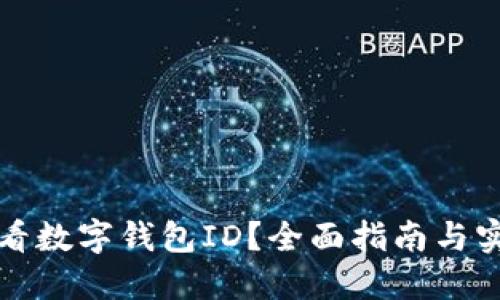 如何查看数字钱包ID？全面指南与实用技巧