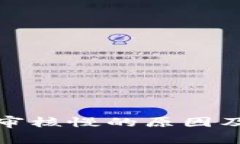 数字钱包审核慢的原因及