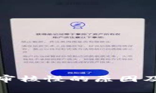 数字钱包审核慢的原因及解决方案