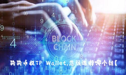 狗狗币提TP Wallet，您该选择哪个链？