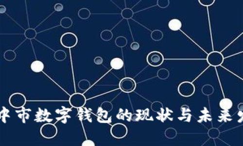 巴中市数字钱包的现状与未来发展