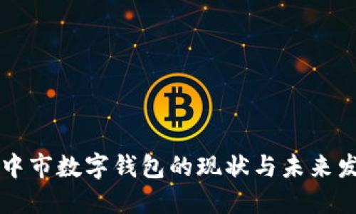 巴中市数字钱包的现状与未来发展