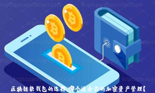 
区块链软钱包的选择：哪个适合你的加密资产管理？