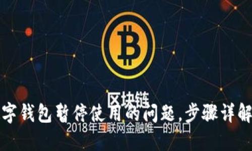 如何解除数字钱包暂停使用的问题，步骤详解与解决方案