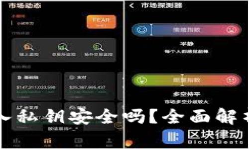 tpWallet导入私钥安全吗？全面解析与安全建议