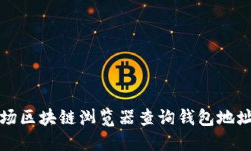 如何通过波场区块链浏览器查询钱包地址的详细指南