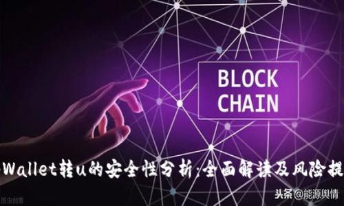 tpWallet转u的安全性分析：全面解读及风险提示