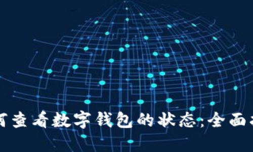 如何查看数字钱包的状态：全面指南