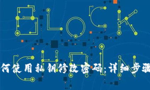 tpWallet如何使用私钥修改密码：详细步骤和注意事项