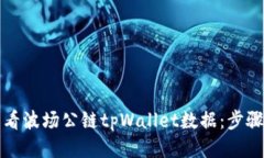如何查看波场公链tpWalle