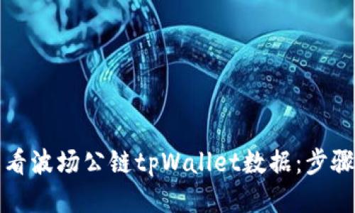 如何查看波场公链tpWallet数据：步骤与技巧