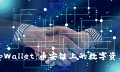 全面了解tpWallet：币安链上