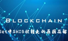 tpWallet中SHIB被转走的原因