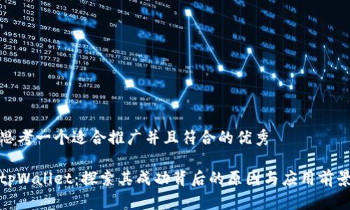 思考一个适合推广并且符合的优秀

tpWallet：探索其成功背后的原因与应用前景