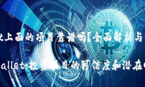 tpWallet上面的项目靠谱吗？全面解析与深度评估

探索tpWallet：投资项目的可信度和潜在回报