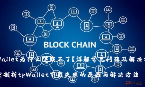 tpWallet为什么下载不了？详解常见问题及解决方案

深度剖析tpWallet下载失败的原因与解决方法
