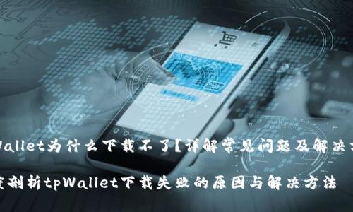 tpWallet为什么下载不了？详解常见问题及解决方案

深度剖析tpWallet下载失败的原因与解决方法