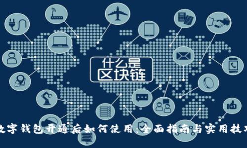 数字钱包开通后如何使用：全面指南与实用技巧
