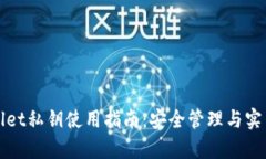 tpWallet私钥使用指南：安全
