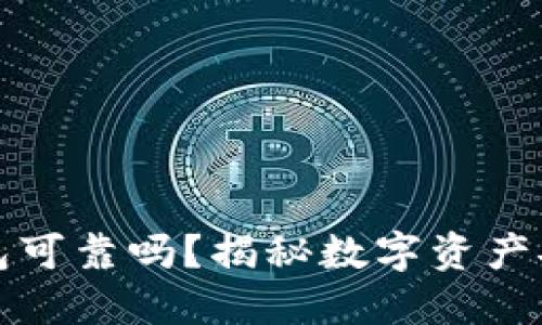 区块链数字钱包可靠吗？揭秘数字资产安全与选择策略