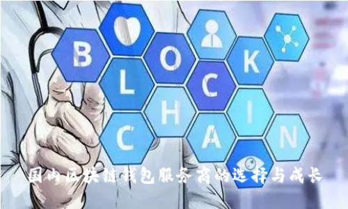 国内区块链钱包服务商的选择与成长