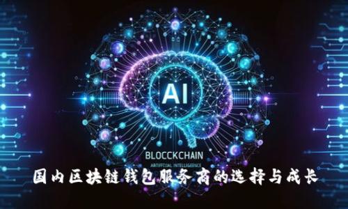 国内区块链钱包服务商的选择与成长
