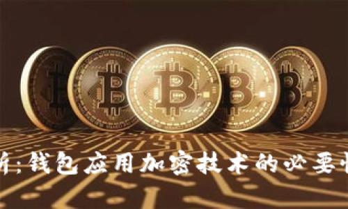 全面解析：钱包应用加密技术的必要性与成效