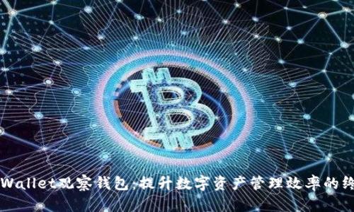 解锁tpWallet观察钱包：提升数字资产管理效率的终极指南