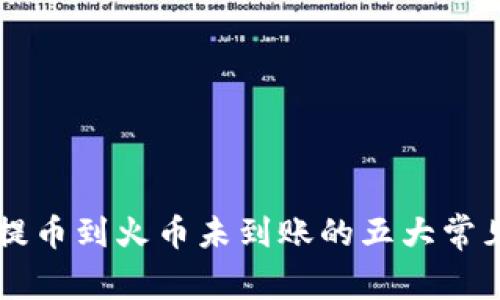 tpWallet提币到火币未到账的五大常见原因解析