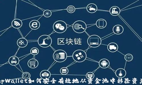 
tpWallet如何安全有效地从资金池中移除资产