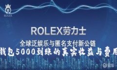 数字钱包5000到账的真实收