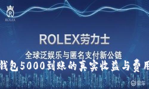数字钱包5000到账的真实收益与费用解析