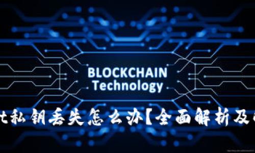 tpWallet私钥丢失怎么办？全面解析及解决方案