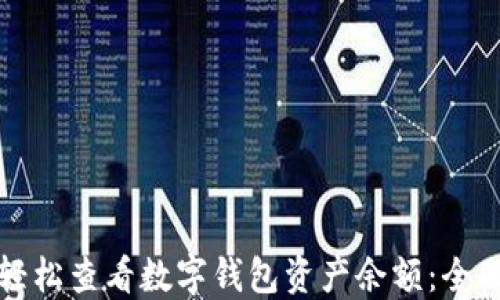 
如何轻松查看数字钱包资产余额：全面指南