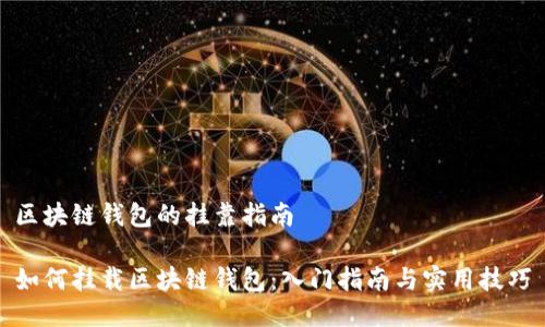 区块链钱包的挂靠指南

如何挂载区块链钱包：入门指南与实用技巧