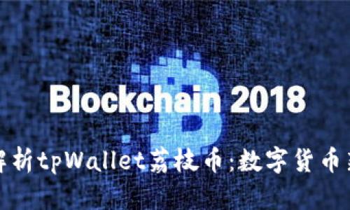全面解析tpWallet荔枝币：数字货币新选择