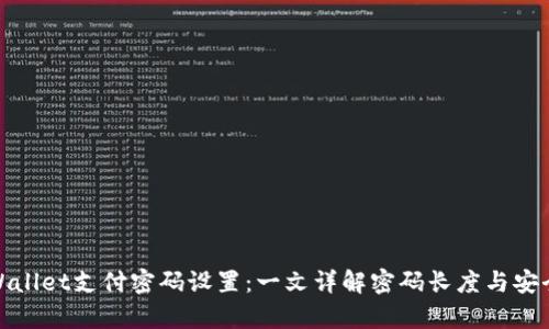 tpWallet支付密码设置：一文详解密码长度与安全性