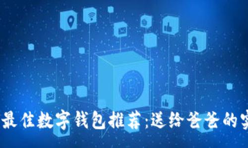 :
2023年最佳数字钱包推荐：送给爸爸的实用选择