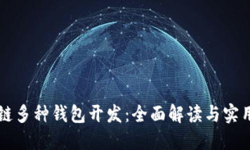 区块链多种钱包开发：全面解读与实用指南