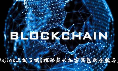 tpWallet上线了吗？探秘新兴加密钱包的全貌与未来