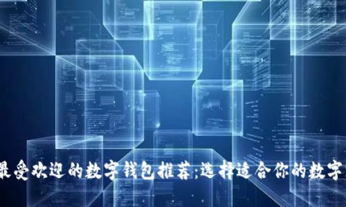 2023年最受欢迎的数字钱包推荐：选择适合你的数字支付工具