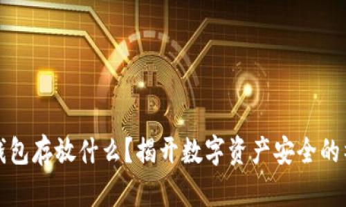 区块链钱包存放什么？揭开数字资产安全的神秘面纱