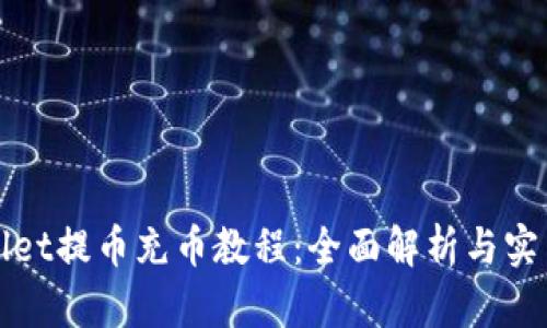 tpWallet提币充币教程：全面解析与实用指南