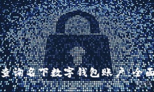 如何查询名下数字钱包账户：全面指南