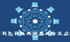 : 数字钱包升级的潜在风险及应对策略