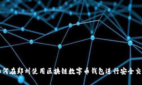 如何在郑州使用区块链数字币钱包进行安全交易