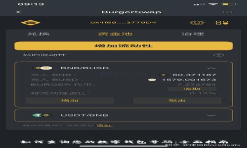 如何查询您的数字钱包号码：全面指南